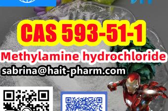 Methylamine hydrochloride cas 593511 rosechem2024